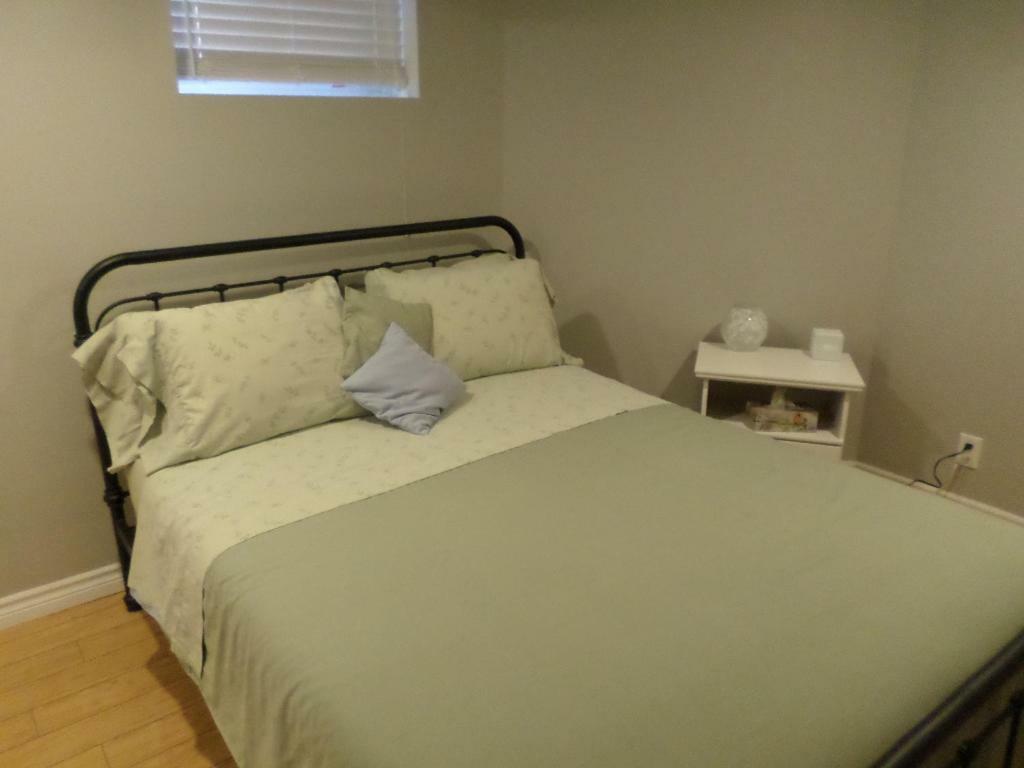 Fantastic And Modern Downtown 1-Bed Basement Apt., Parking Wi-Fi And Netflix Included أوتاوا المظهر الخارجي الصورة