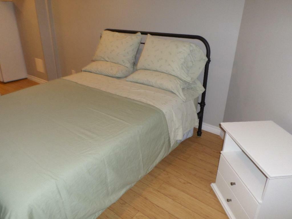 Fantastic And Modern Downtown 1-Bed Basement Apt., Parking Wi-Fi And Netflix Included أوتاوا المظهر الخارجي الصورة